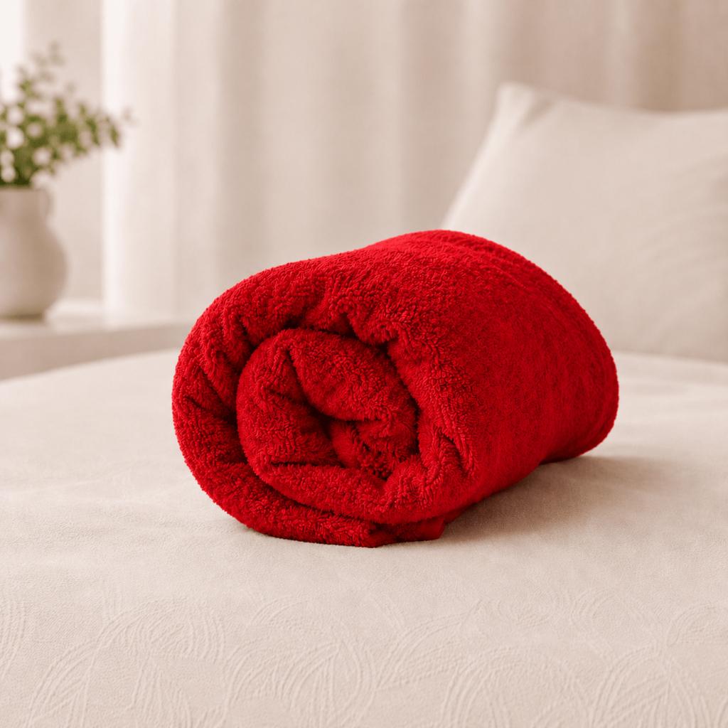 Manta Casal Padrão Microfibra Soft Lisa 2,20 m x 1,70 m