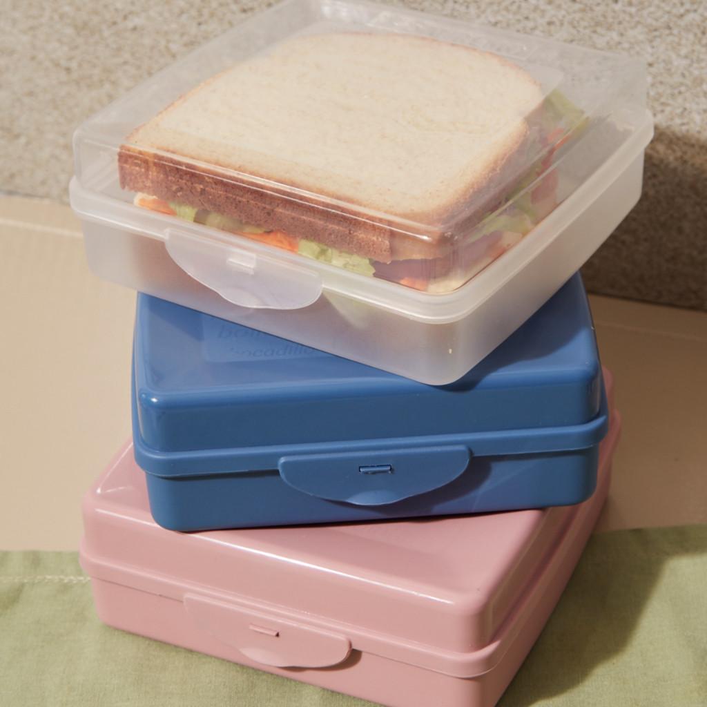 Sanduicheira Plástico Sanremo Rosa Azul Transparente Pote Box Porta Sanduiche Pão Merenda Lanche universal