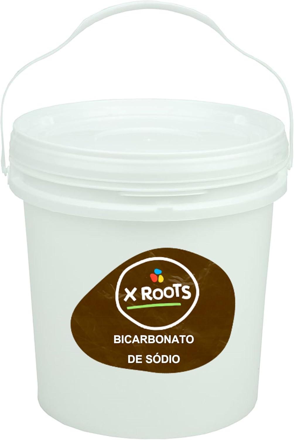 Bicarbonato De Sódio Balde 2kg Abre e Fecha - X Roots