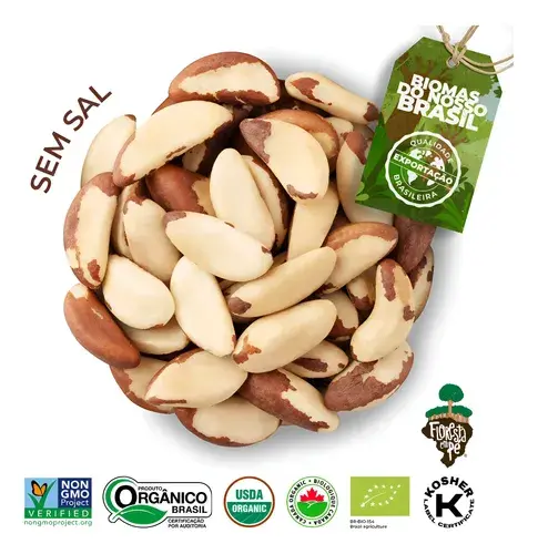 Castanha Do Pará Orgânica E Sem Sal 500g Floresta Em Pé