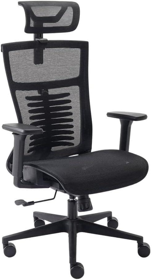 Elements Cadeira de Escritorio Ergonômica Vertta Pro com Apoio Lombar e Cabeça Respirável, Preta